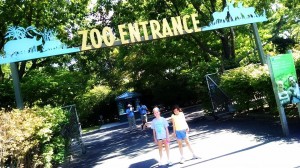 Bronxzoo